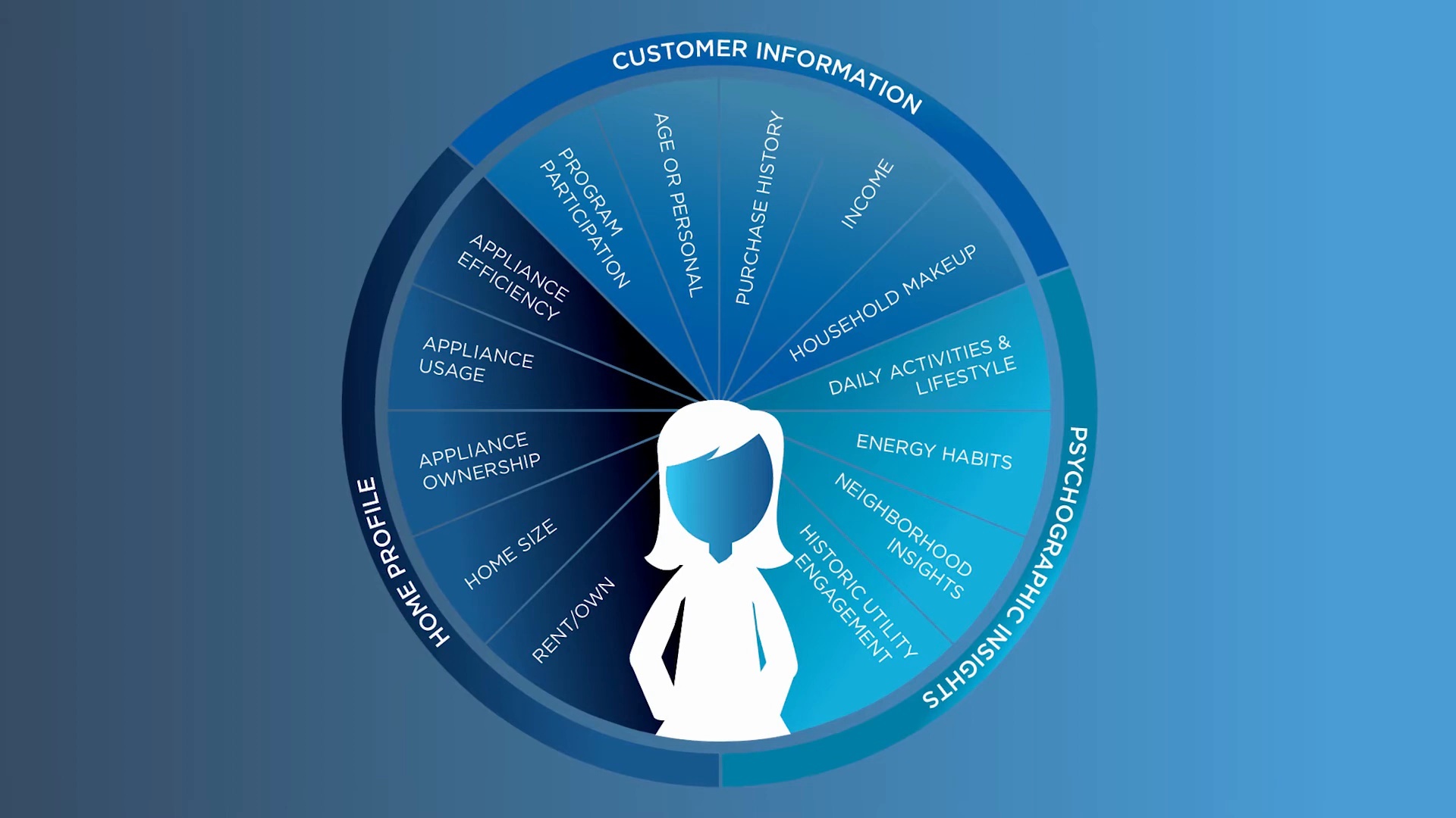 DSM Marketer's Playbook for Grid Decarbonization