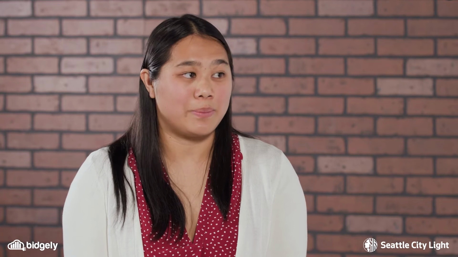 Bidgely Workbench: EU EV Analysis and Targeting