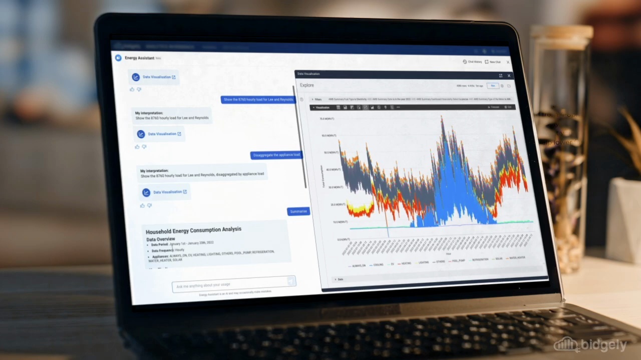 Bidgely GenAI: Creating Simplicity From Utility Data