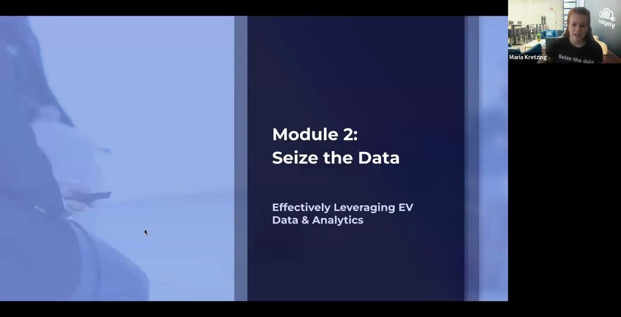 Driving Success: Crafting Resilient EV Strategies