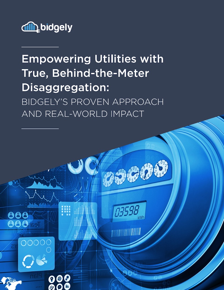 Empowering Utilities with True Disaggregation
