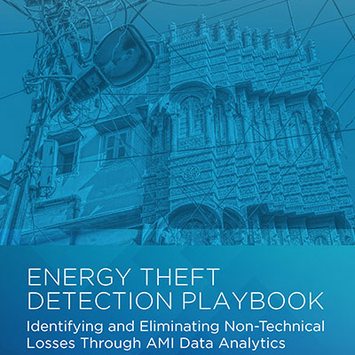 Identifying and Eliminating Energy Theft Losses