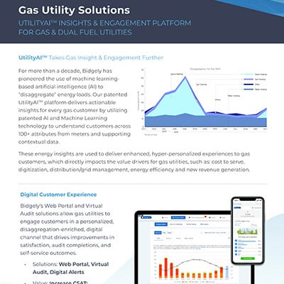 Gas Utility Solutions with Utility AI Platform