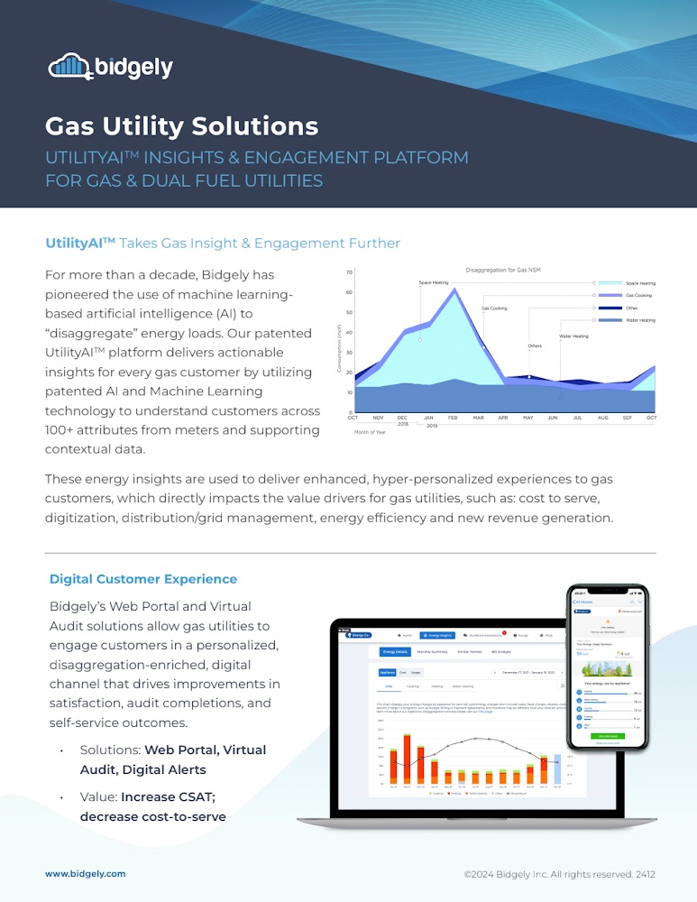 Gas Utility Solutions with Utility AI Platform