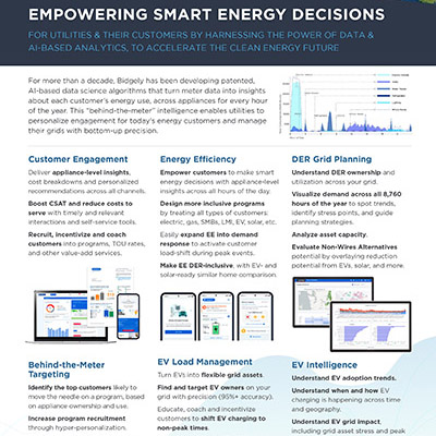 Empowering Smart Energy Decisions with UtilityAI™