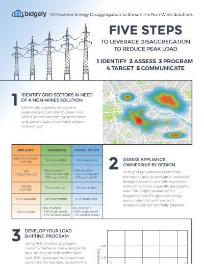Non-Wires Solutions: Grid Flexibility