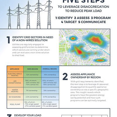Non-Wires Solutions: Grid Flexibility