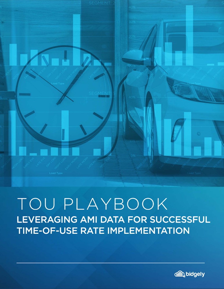 TOU Rate Implementation with AMI Data Success