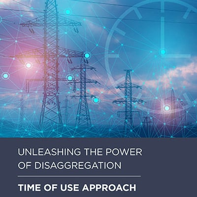 Unleashing the Power of Disaggregation for TOU