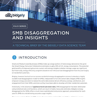 SMB Disaggregation and Insights Technical Brief