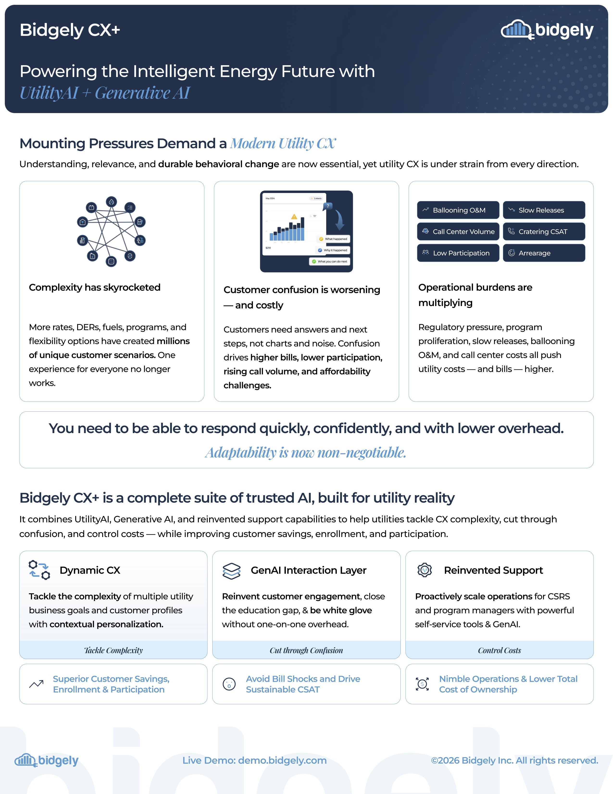 Bidgely CX+ Solution Brief