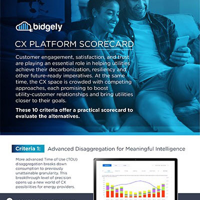 Customer Experience (CX) Scorecard