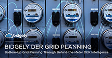 DER Grid Planning Through Behind-the-Meter Intelligence