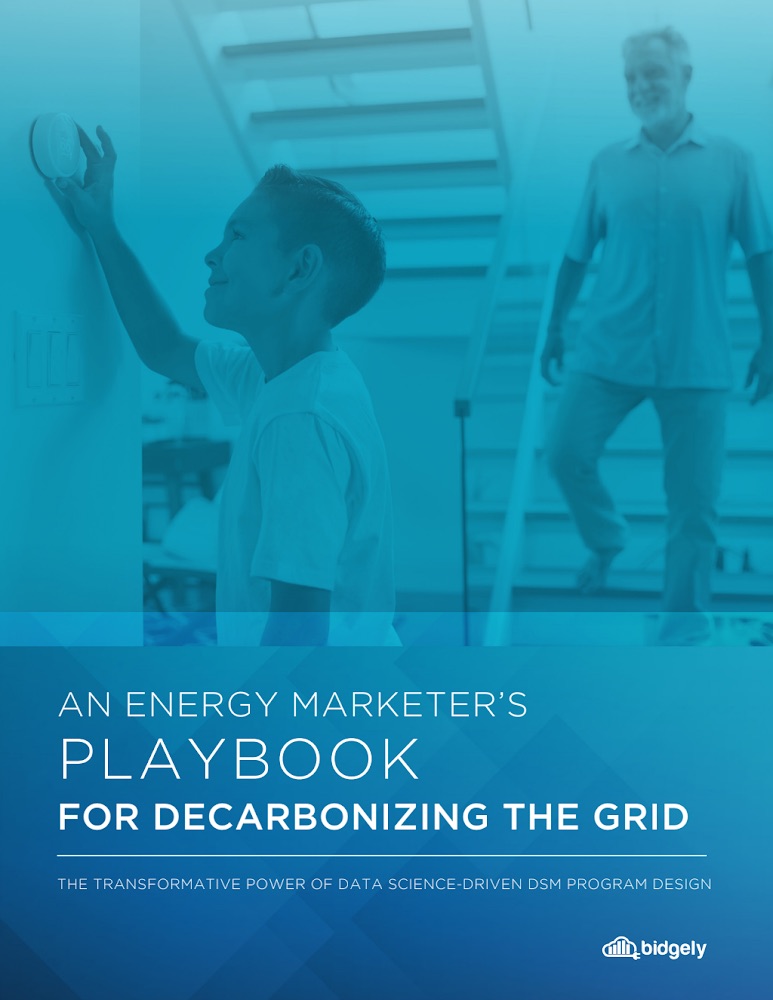 Decarbonizing the Grid: A DSM Marketer's Playbook