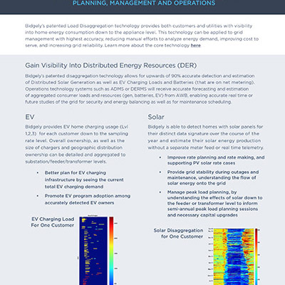 Enterprise Analytics for Grid Management
