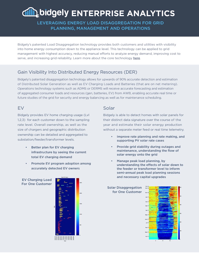 Enterprise Analytics for Grid Management