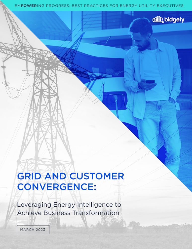 Grid and Customer Convergence for Transformation