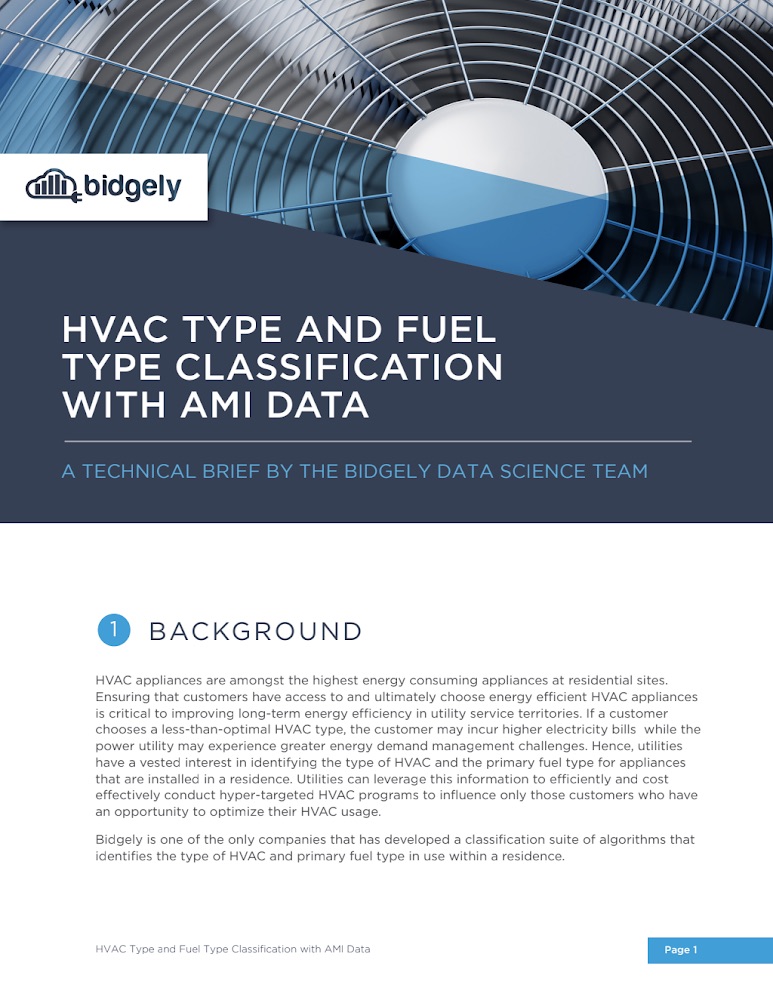 HVAC Type and Fuel Classification with AMI Data