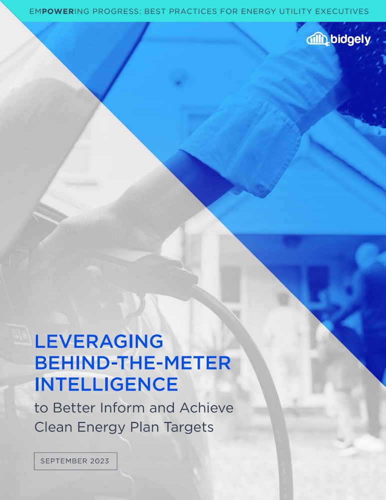 Behind-the-Meter Intelligence for Clean Energy