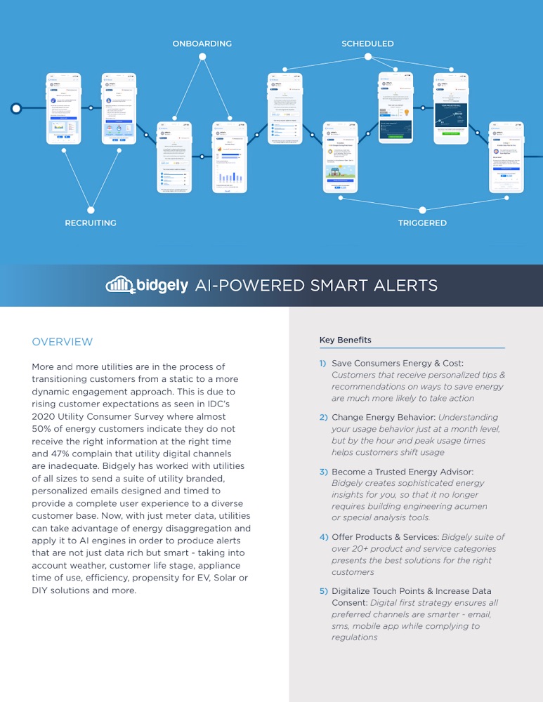 AI-Powered Smart Alerts: Dynamic Customer Engagement