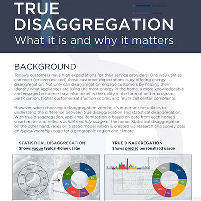 True Disaggregation: Why It Matters Now