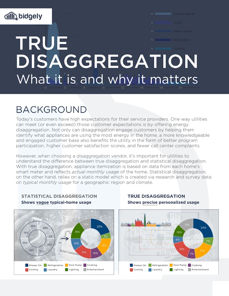True Disaggregation: Why It Matters Now