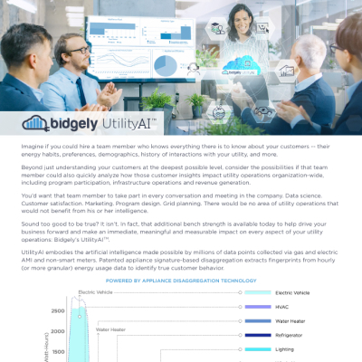 UtilityAI™ Platform: AI for Energy Utilities