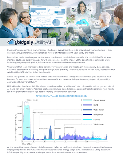 UtilityAI™ Platform: AI for Energy Utilities