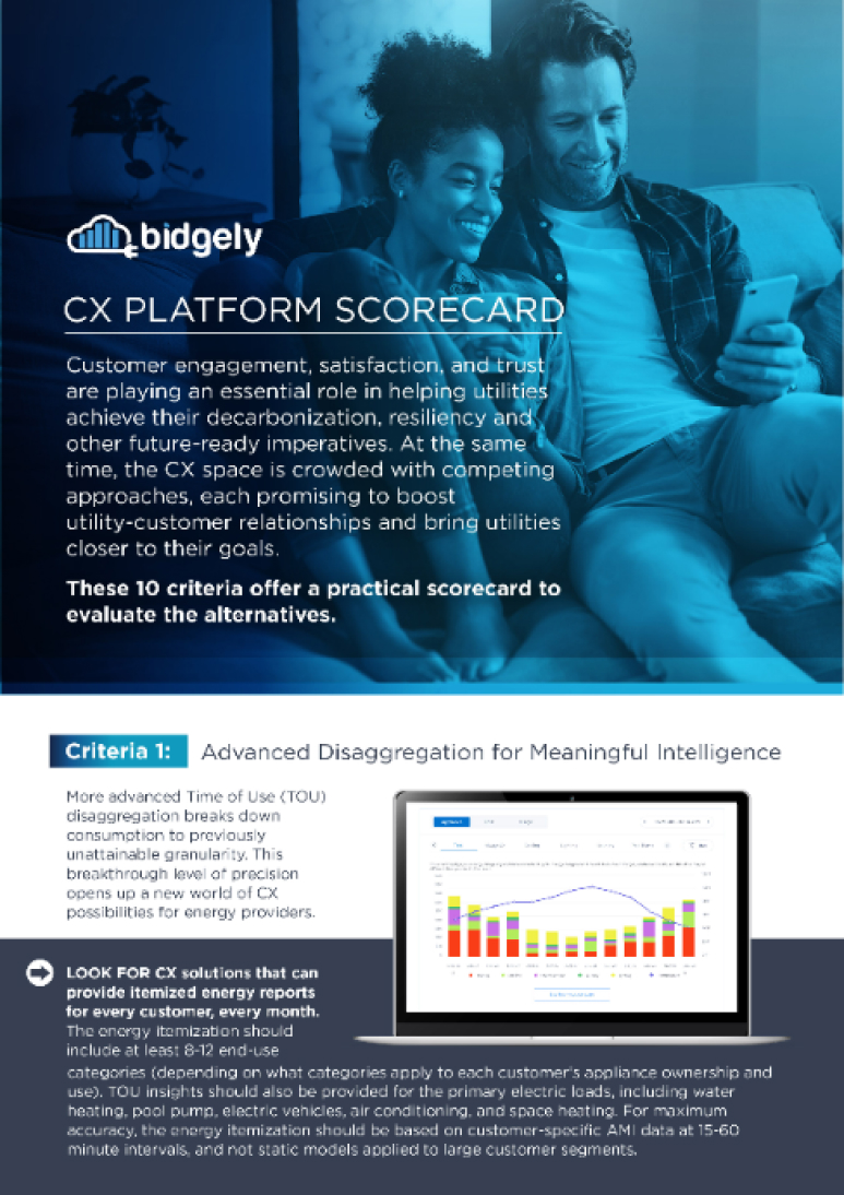 Customer Experience (CX) Scorecard