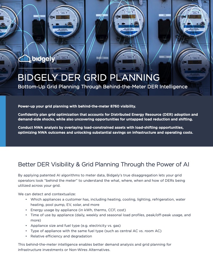 DER Grid Planning Through Behind-the-Meter Intelligence