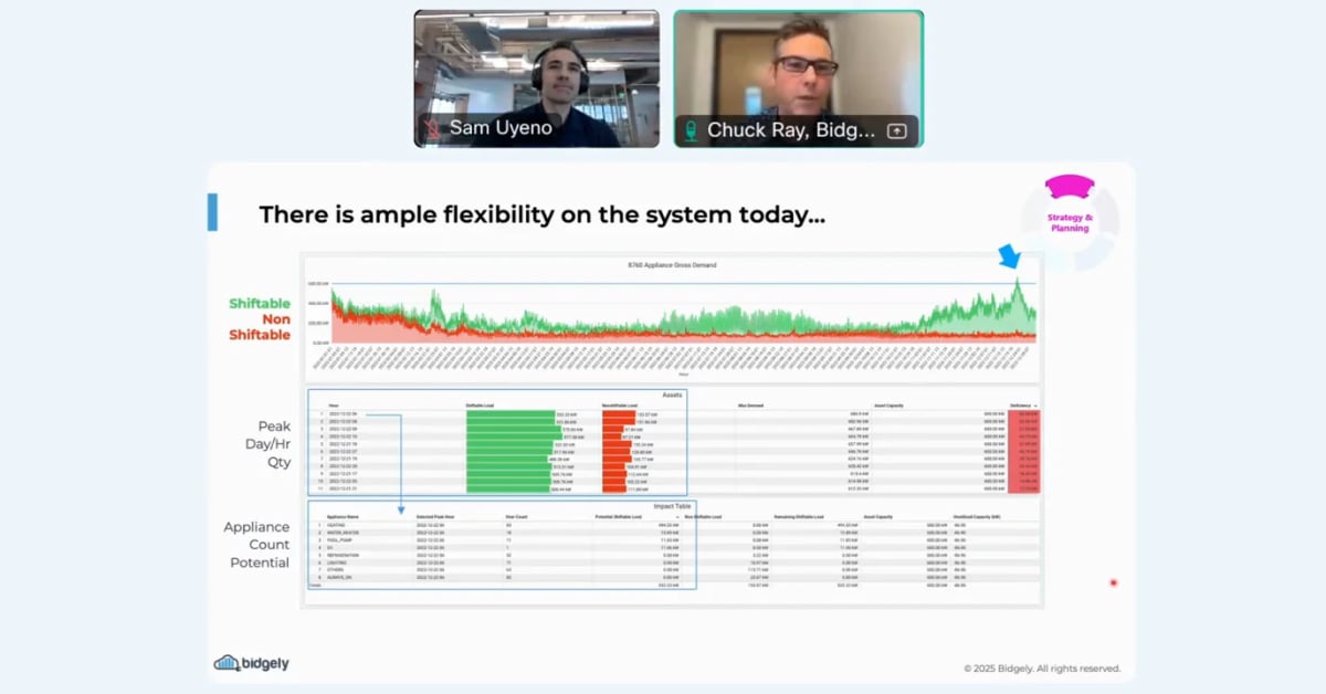 Modernizing DER Programs with Advanced Load Intelligence